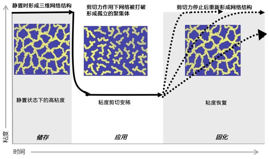 webp