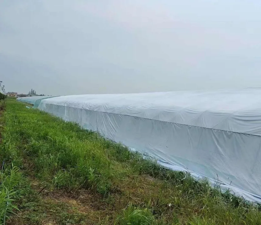 农业大棚实现防潮保暖与稳产增效