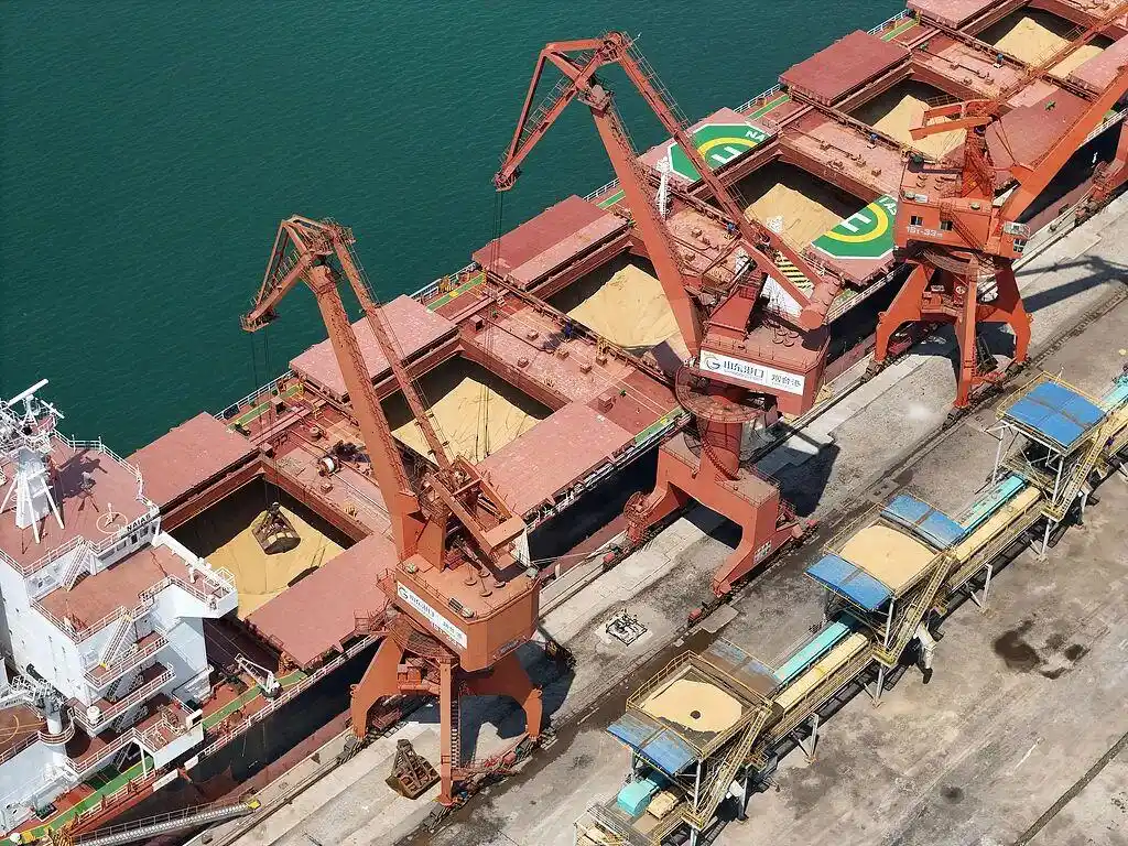 山东烟台港卸船巴西进口大豆