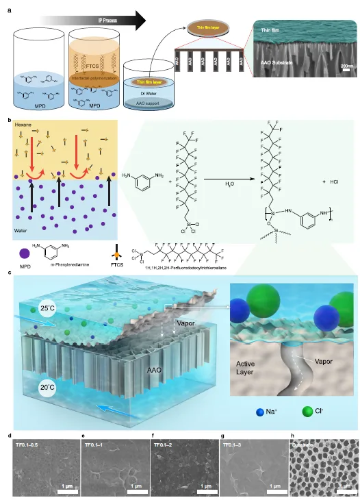 亚纳米孔疏水超薄膜：低温膜蒸馏淡化中的一种新路径